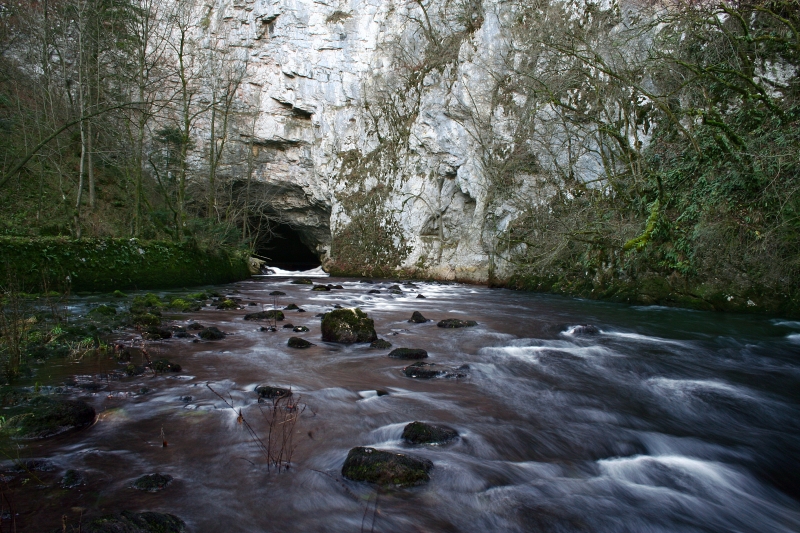 Woodland and karst landscape near Planina
