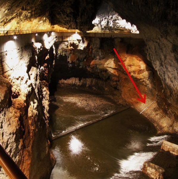 Postojna–Planina Cave System research site